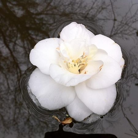 Eira Das Carvalhas 페나피엘 객실 사진