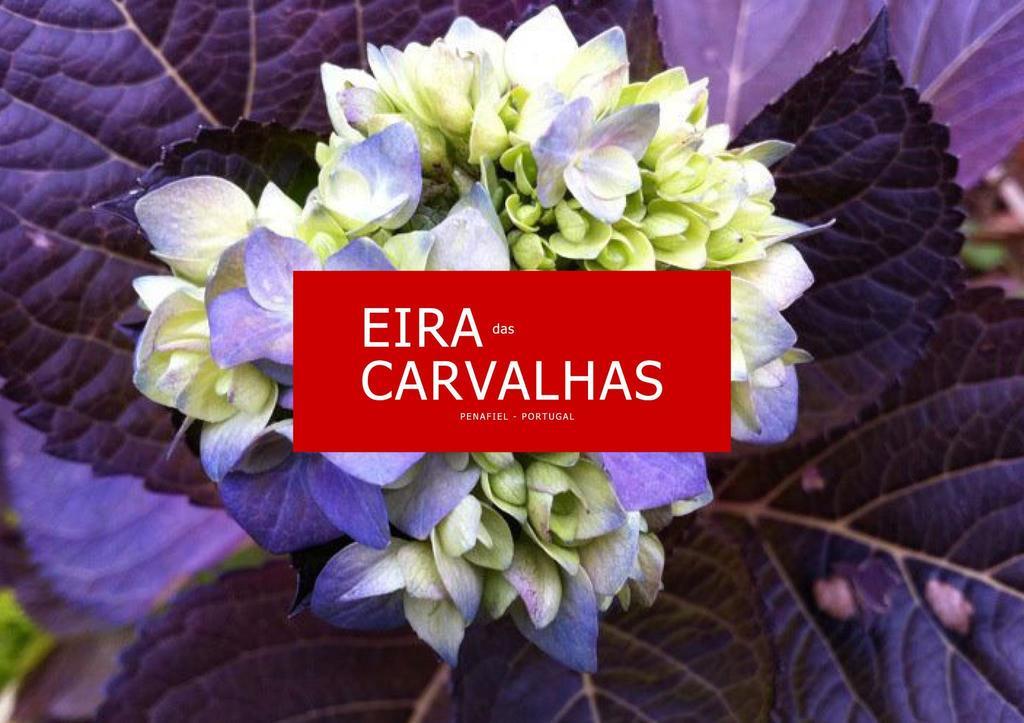 Eira Das Carvalhas 페나피엘 객실 사진